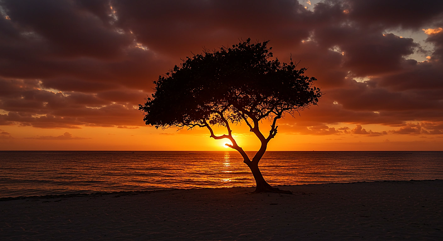 Aruba, l'heure du couchant
